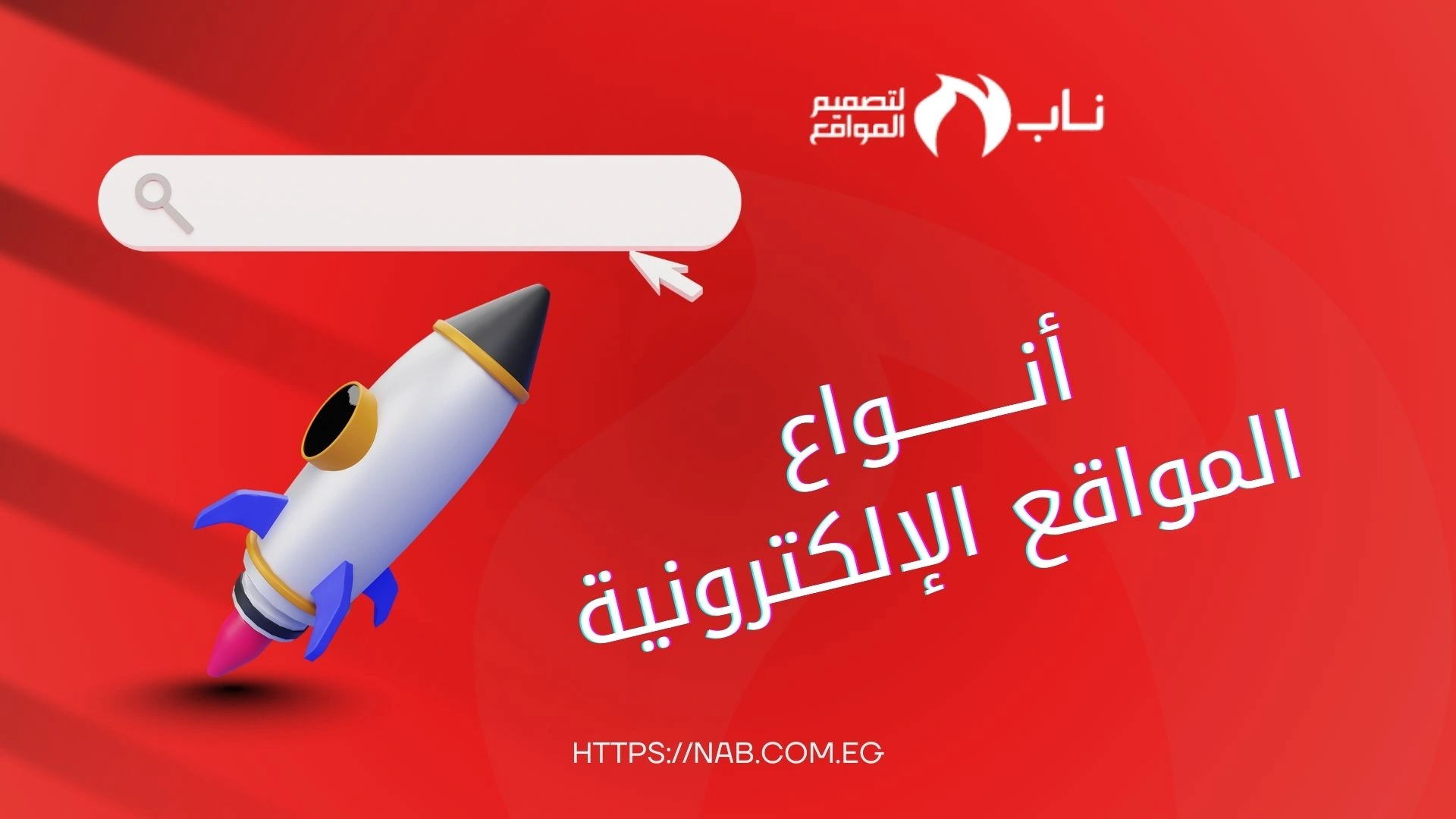 أنواع المواقع الإلكترونية، شركة ناب لتصميم المواقع