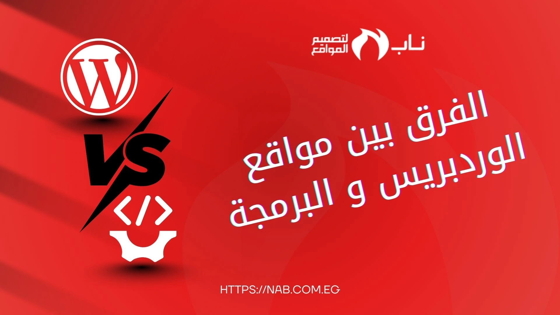 الفرق بين مواقع الوردبريس والبرمجة الخاصة، شركة ناب لتصميم المواقع